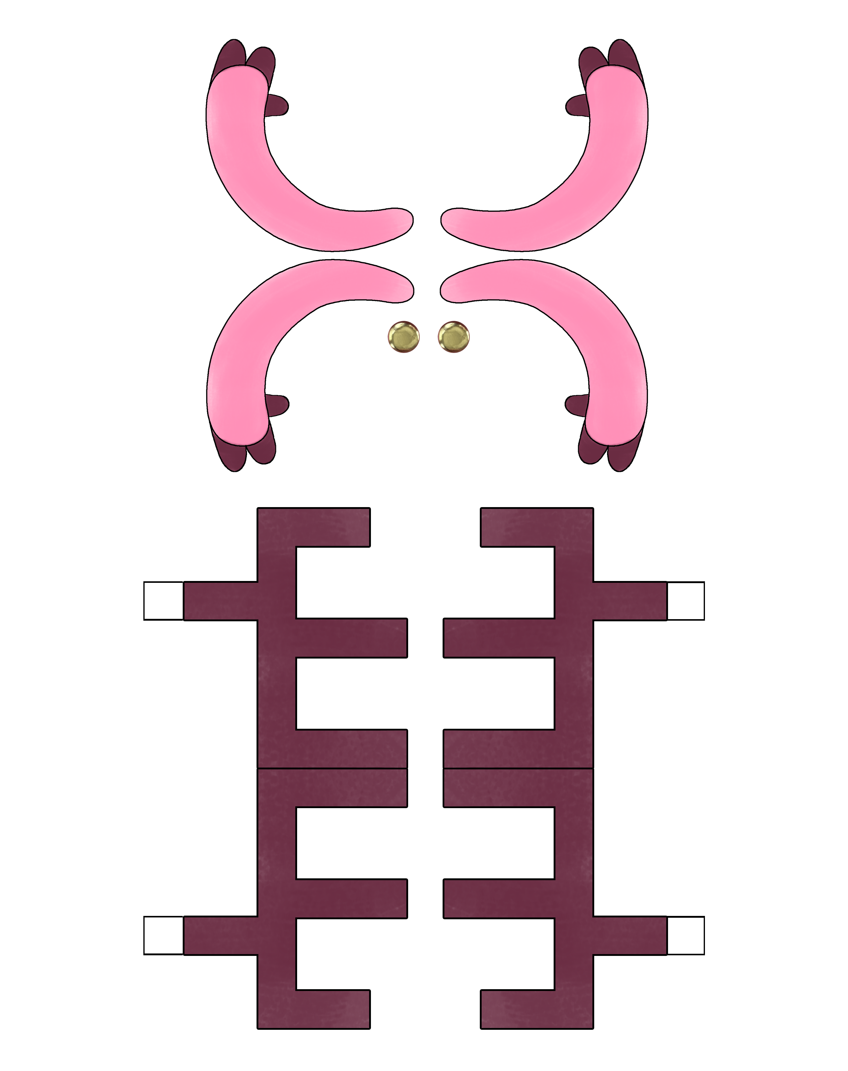bonefriend2