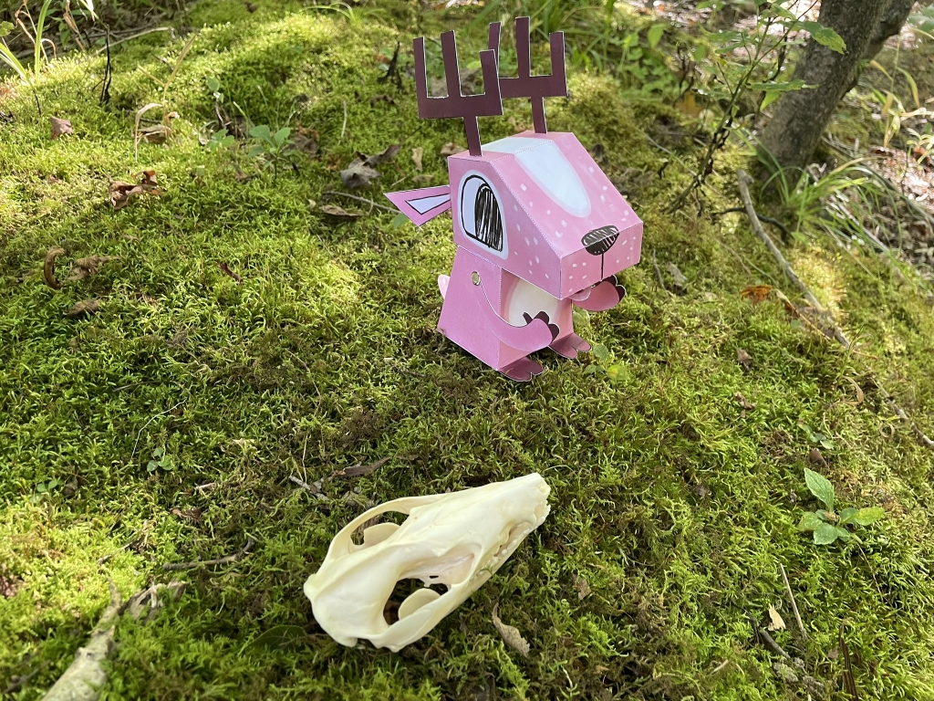pez1